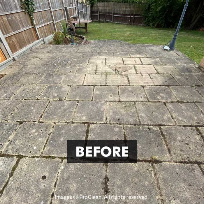 Before applying New Clean 60 Patio Cleaner