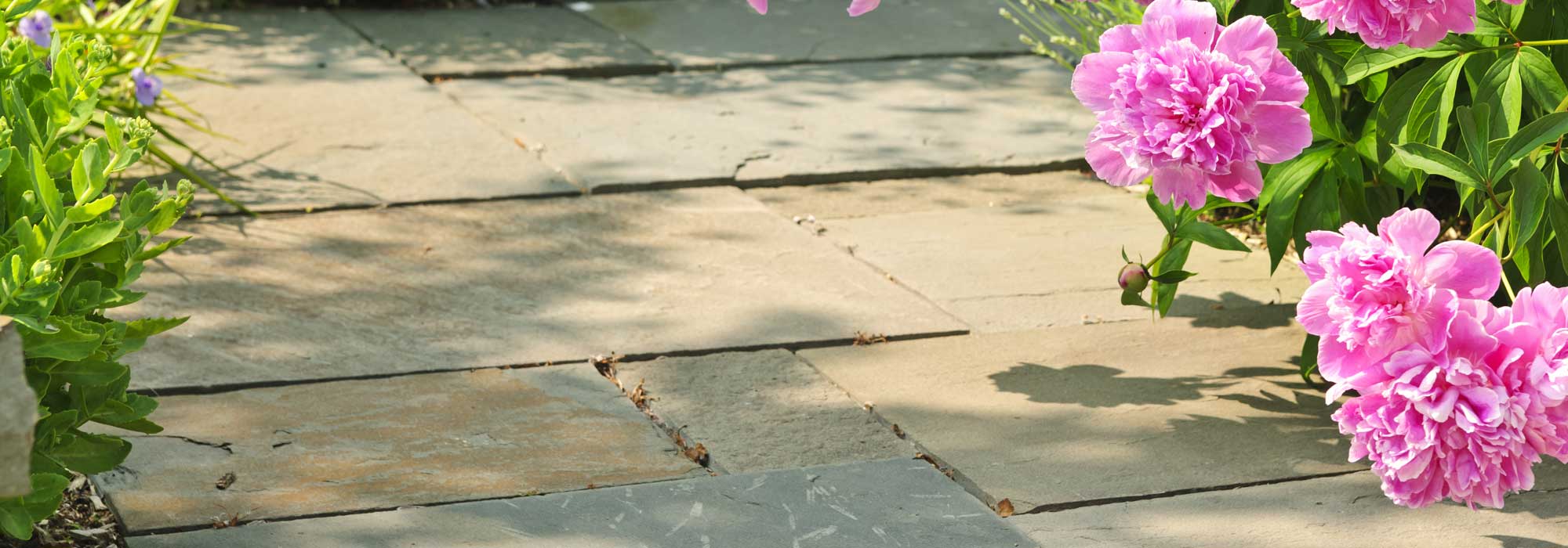 Summer Deal - 3 for 2 on 5L Universeal outdoor cleaners